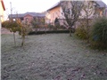 jutarnji mraz